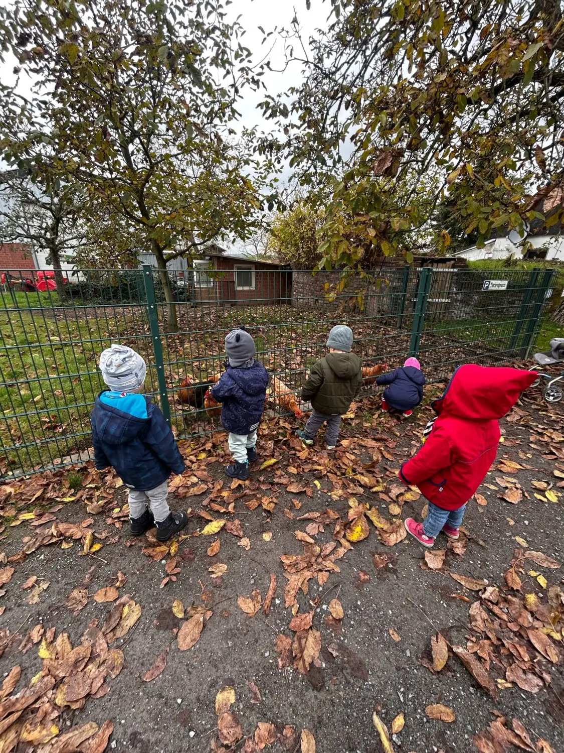NDK - Netzwerk Duisburger Kindertaespflege